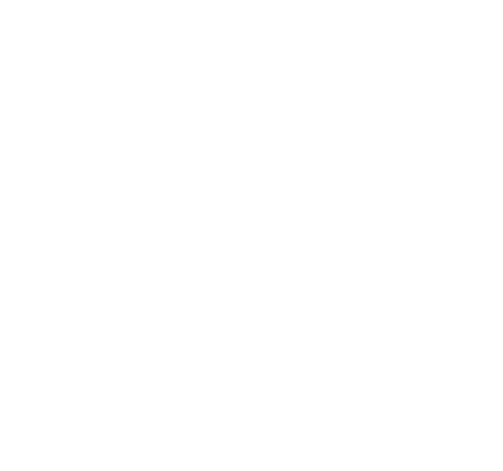 MegaFile Logo