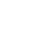 Upload sicuro Icon
